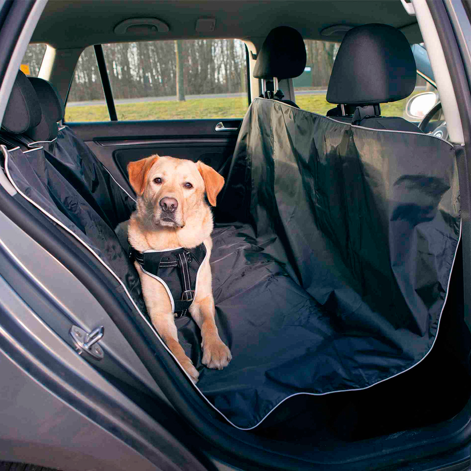 Funda de coche para perros color Azul