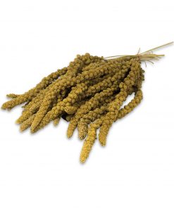 PELUCHOS MASCOTAS - RAMILLETE DE MIJO AMARILLO - 1