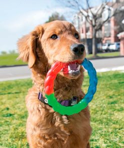 PELUCHOS-MASCOTAS-KONG-TWISTZ-RING-2