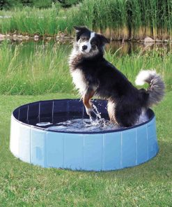 PELUCHOS-MASCOTAS-PISCINA-PARA-PERROS-DETALLE