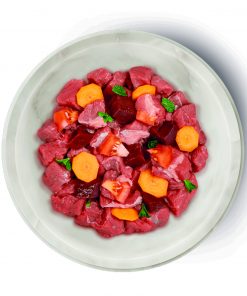 Terra Felis - Buey 2