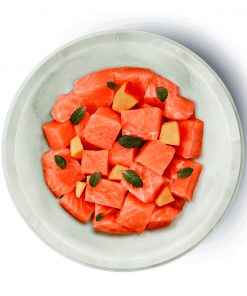 Terra Felis - Salmón 2