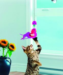 PAJARITO VEN A POR MI CAT