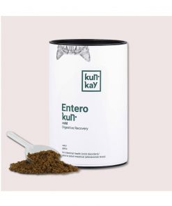 PELUCHOS-MASCOTAS-KUNKAY-ENTEROKUN-GATOS-1