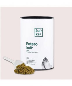 PELUCHOS-MASCOTAS-KUNKAY-ENTEROKUN-PERRO-1