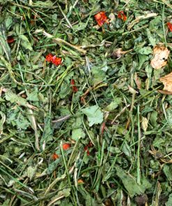 PELUCHOS-MASCOTAS-JR-FARM---RÚCULA-Y-TOMATE-2