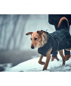 PELUCHOS-MASCOTAS---SOFTSHELL-UPPSALA-NEGRO-HUNTER---2