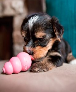 PELUCHOS-MASCOTAS-KONG-PUPPY-2