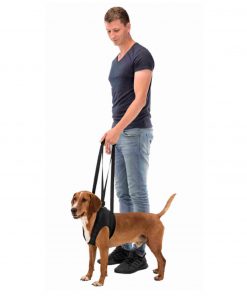 PELUCHOS-MASCOTAS---ARNÉS-ANDADOR-4