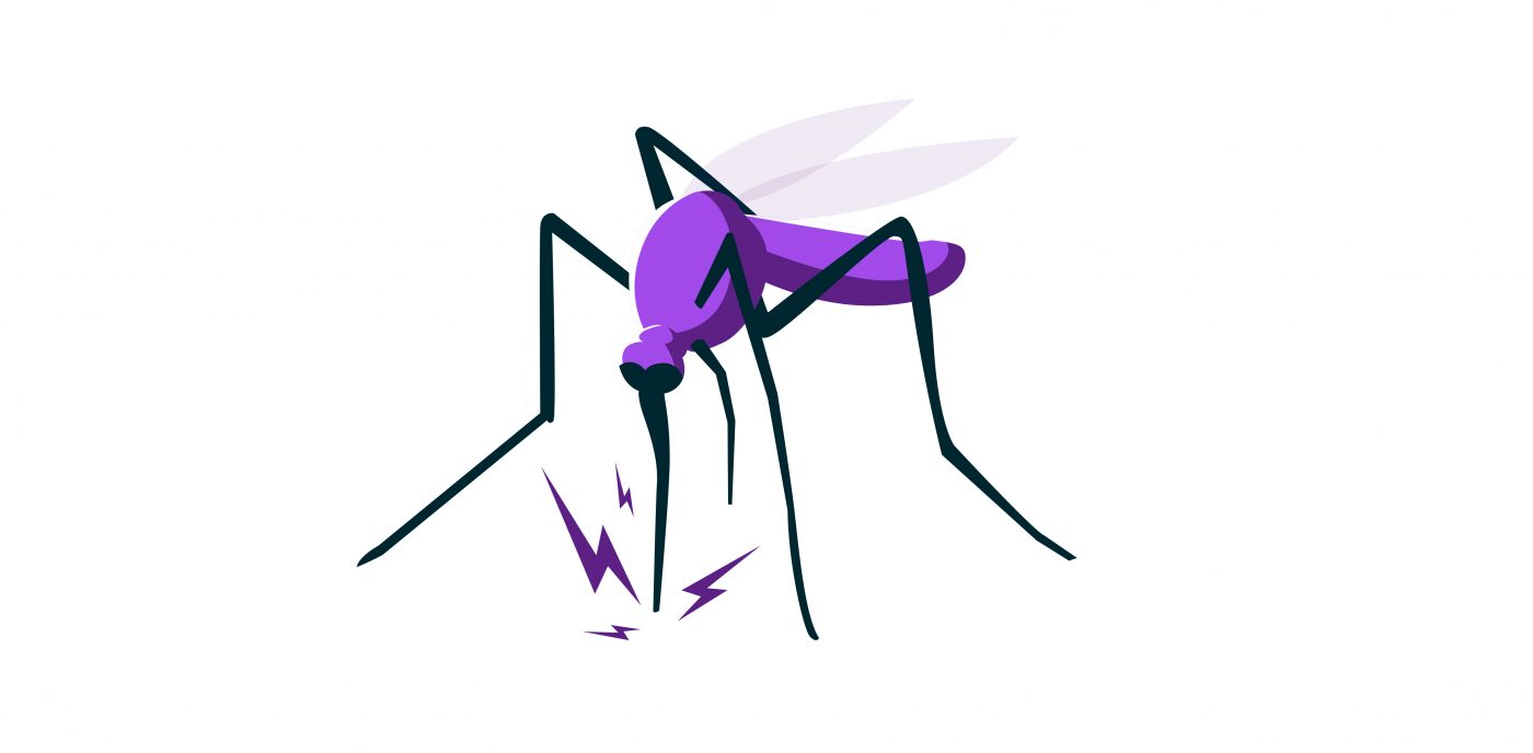 foto-mosquito-antiparasianrios-peluchos-mascotas