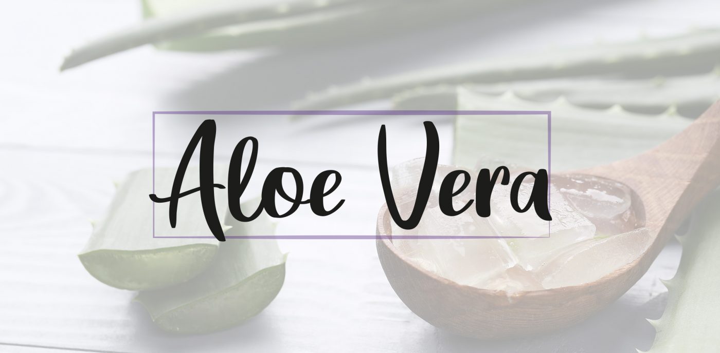 ALOE VERA PERROS Y GATOS PELUCHOS MASCOTAS