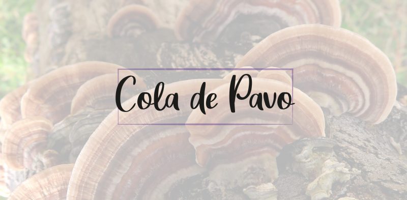 COLA DE PAVO PELUCHOS MASCOTAS