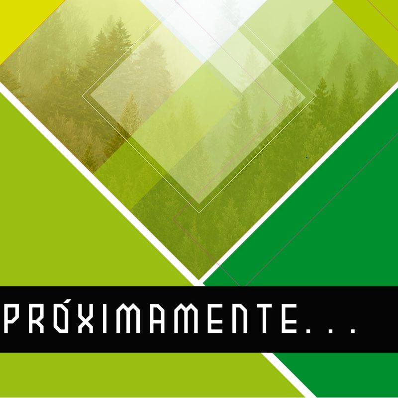 proximamente nuevo servicio peluchos mascotas