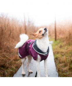 PELUCHOS-MASCOTAS---POMPPA-ABRIGO-IMPERMEABLE-KEVYT-3