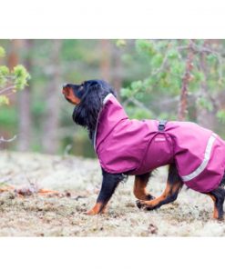 PELUCHOS-MASCOTAS---POMPPA-ABRIGO-IMPERMEABLE-KEVYT-4