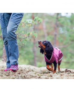 PELUCHOS-MASCOTAS---POMPPA-ABRIGO-IMPERMEABLE-KEVYT-5