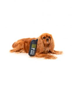 PELUCHOS-MASCOTAS-NOKIDOG-COLECCION-MILENIAL-2