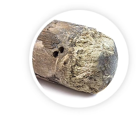 GoodWood - Mordedor Natural de Madera de Café desgaste