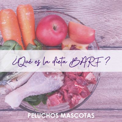 dieta-barf-peluchos-mascotas