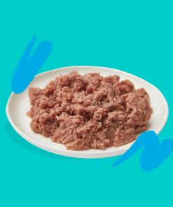 PELUCHOS-MASCOTAS-EDGARD-&-COOPER-PATÉ-DE-SALMÓN-Y-POLLO-ECOLÓGICO-2