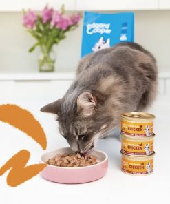 PELUCHOS-MASCOTAS-EDGARD-&-COOPER-TROCITOS-DE-POLLO-EN-SALSA-2