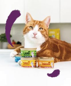 PELUCHOS-MASCOTAS-EDGARD-&-COOPER-TROCITOS-DE-SALMÓN-Y-POLLO-EN-SALSA-2