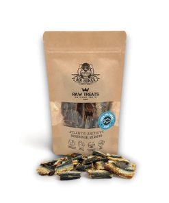 PELUCHOS-MASCOTAS-MR.-BONES-BOQUERÓN-DEL-ATLÁNTICO