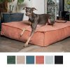 Fantail colchón stargaze mellow, cama para perros