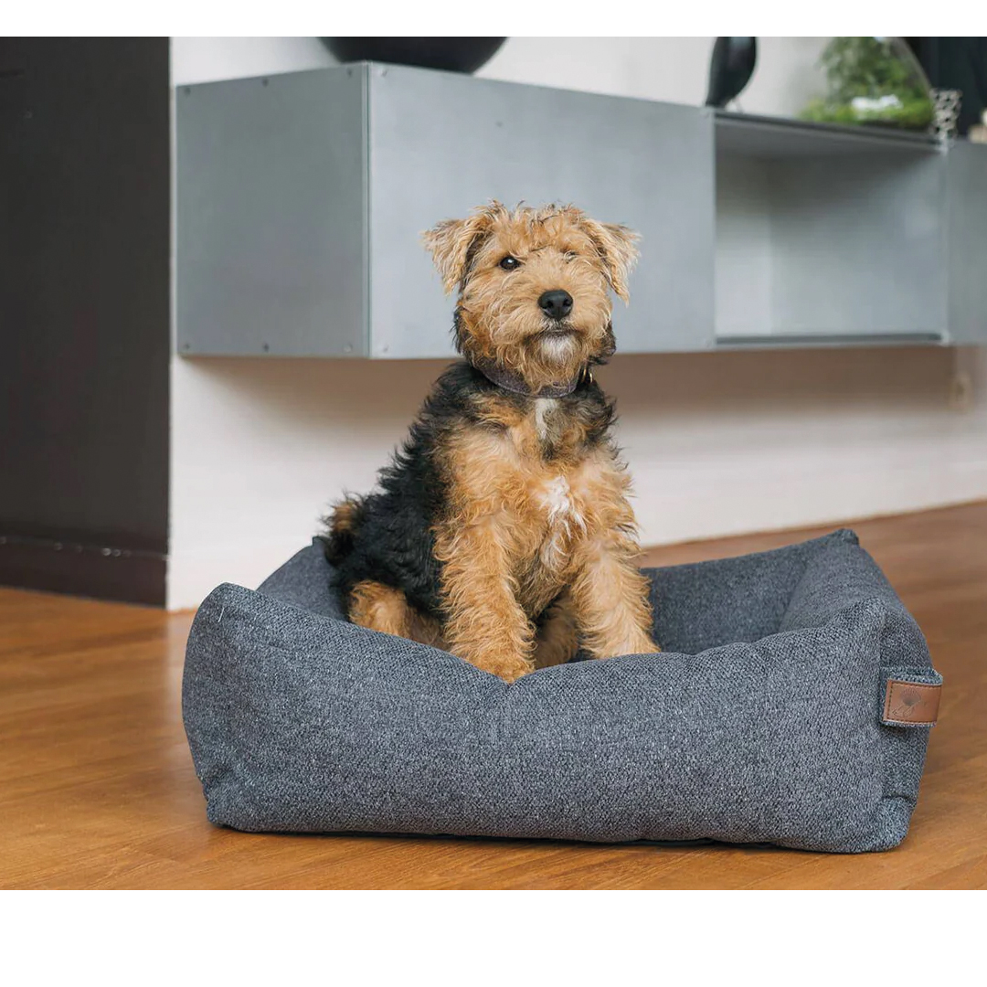 Fantail Cuna Snug origin epic grey Fantail Cuna Snug origin epic grey, cama para perros