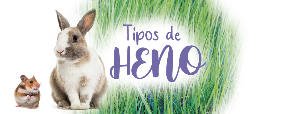Tipos de heno