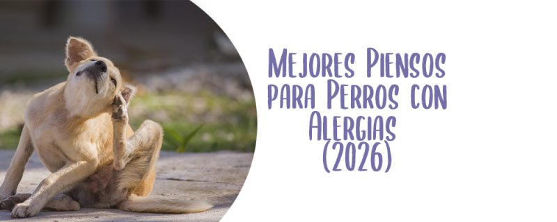 mejores piensos para perros con alergias en españa 2026