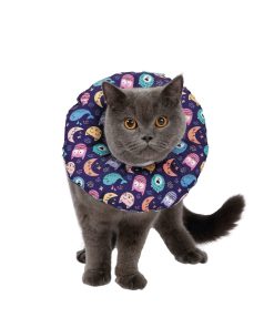 Freecat Collar isabelino acolchado Blue Night para gatos y perros pequeños