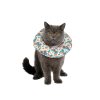 Freecat Collar isabelino acolchado Butterfly para gatos y perros pequeños