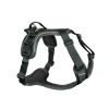 Non-Stop Dogwear Ramble Harness Verde para perros